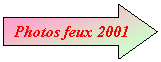 Flche droite: Photos feux 2001